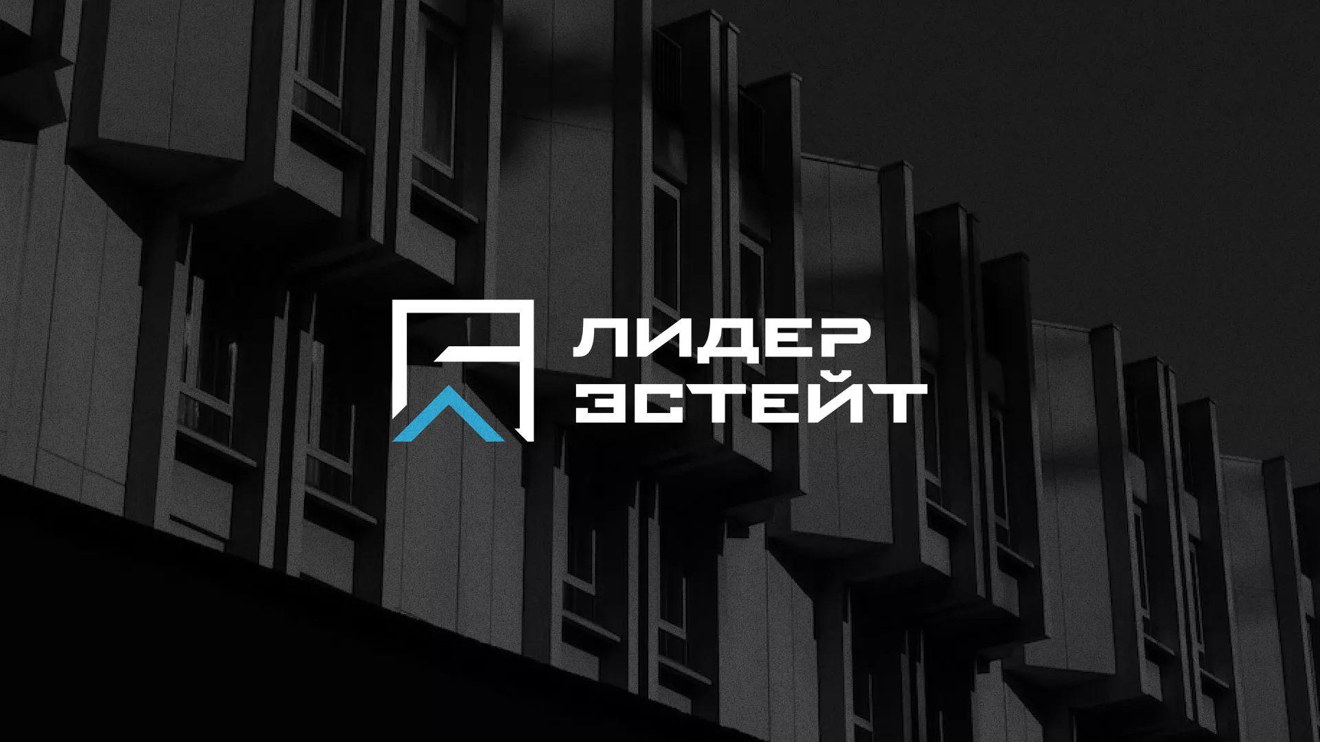 Разработка логотипа агентства недвижимости «Лидер Эстейт» в Новоржеве
